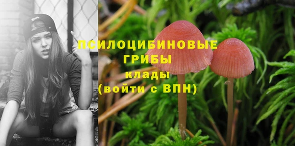 соль курить ск Алексеевка