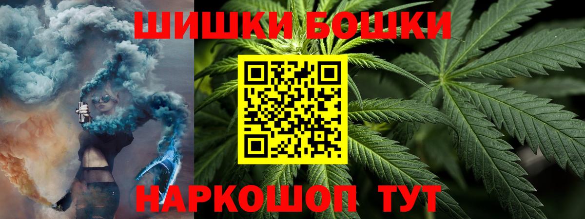 Канабис сатива Томск
